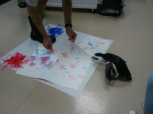 Kohl the Penguin examines his artwork